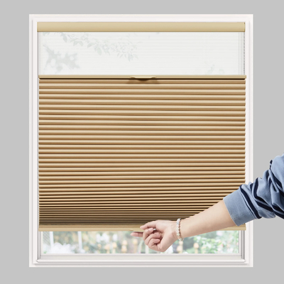 WELLSOURCE Day&amp;Night Cellular Shades, Blackout Top Down Bottom Up Honeycomb Blinds for Windows, Cordless Window Shades w