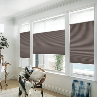 WELLSOURCE Manual Cordless Day and Night Cellular Shades Non Blackout Light Filtering Honeycomb Fabric for Home, Office,