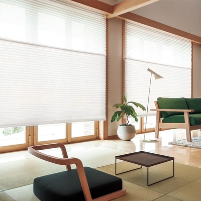 WELLSOURCE Manual Cordless Day and Night Cellular Shades Non Blackout Light Filtering Honeycomb Fabric for Home, Office,