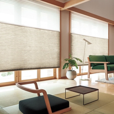 WELLSOURCE Manual Cordless Day and Night Cellular Shades Non Blackout Light Filtering Honeycomb Fabric for Home, Office,
