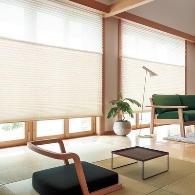 WELLSOURCE Manual Cordless Day and Night Cellular Shades Non Blackout Light Filtering Honeycomb Fabric for Home, Office,
