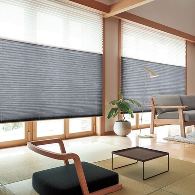 WELLSOURCE Manual Cordless Day and Night Cellular Shades Non Blackout Light Filtering Honeycomb Fabric for Home, Office,