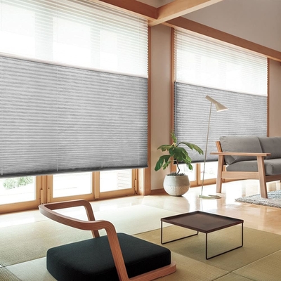 WELLSOURCE Manual Cordless Day and Night Cellular Shades Non Blackout Light Filtering Honeycomb Fabric for Home, Office,