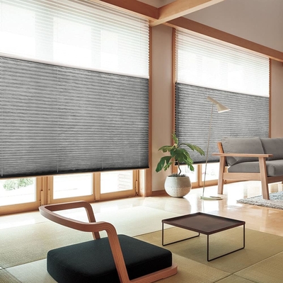 WELLSOURCE Manual Cordless Day and Night Cellular Shades Non Blackout Light Filtering Honeycomb Fabric for Home, Office,