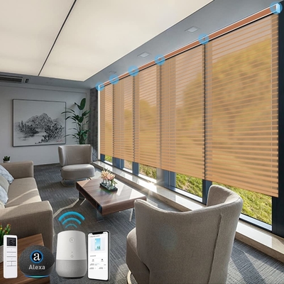 Customized Bathroom Anti UV and Heat Insulation Electric Motorized Shangrila Blinds
