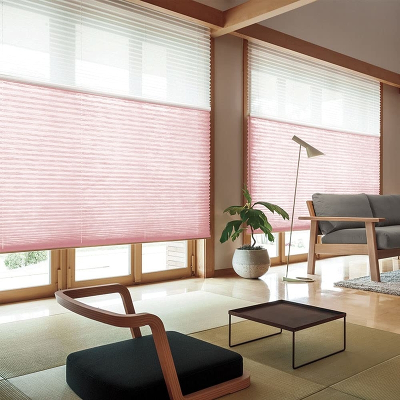 WELLSOURCE Manual Cordless Day and Night Cellular Shades Non Blackout Light Filtering Honeycomb Fabric for Home, Office,